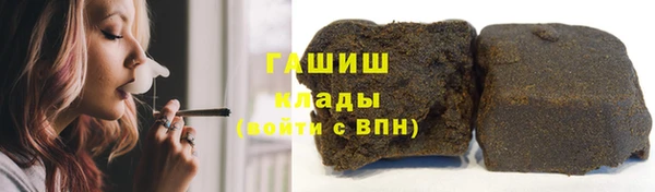 хмурый Няндома