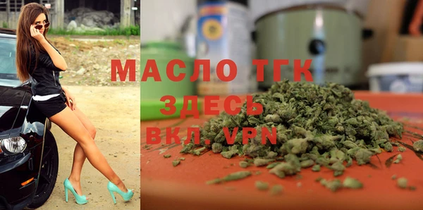 хмурый Няндома