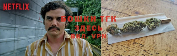 прущие грибы Корсаков