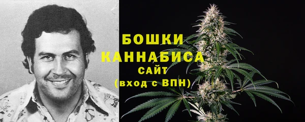 прущие грибы Корсаков
