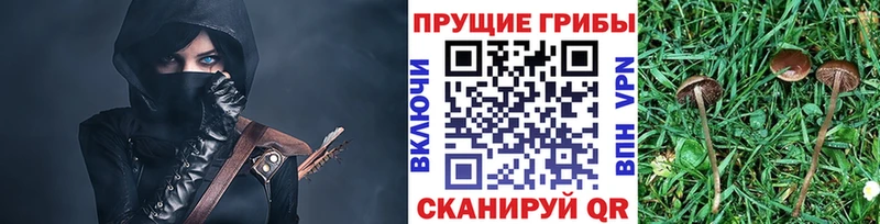 Галлюциногенные грибы Psilocybine cubensis  купить закладку  Макаров 